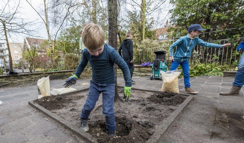 Boomspiegels lenen zich prima voor een minituintje. | Foto: Buro JP