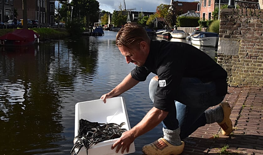 Marco van den Bosch zet palingen uit in de Oude Rijn. | Foto: Piet van Kampen
