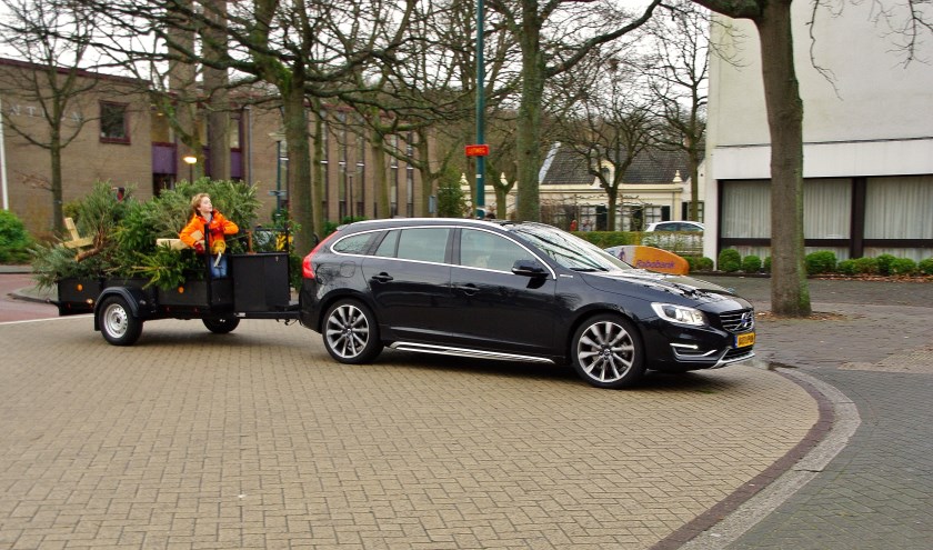 Ook dit jaar zamelde de Oegstgeester jeugd fanatiek kerstbomen in.