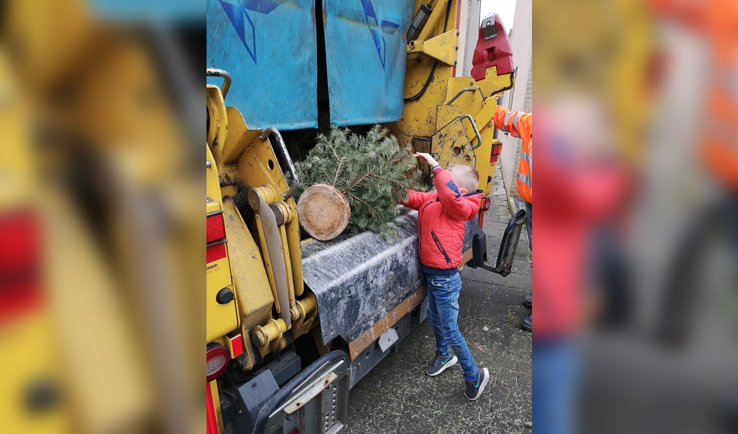 Een lezer stuurde deze foto in van Jamie die genoten heeft van het inzamelen van kerstbomen en er zelf één in de ophaalwagen mocht kieperen. 