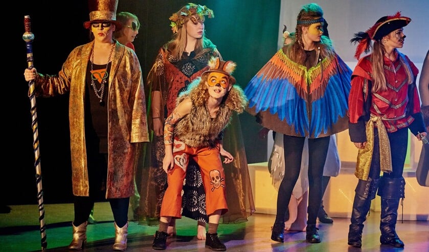 Ook de musical 'Enigami' werd door Up2Stage zelf geschreven en gespeeld. | Foto: archief/pr./René van Dam