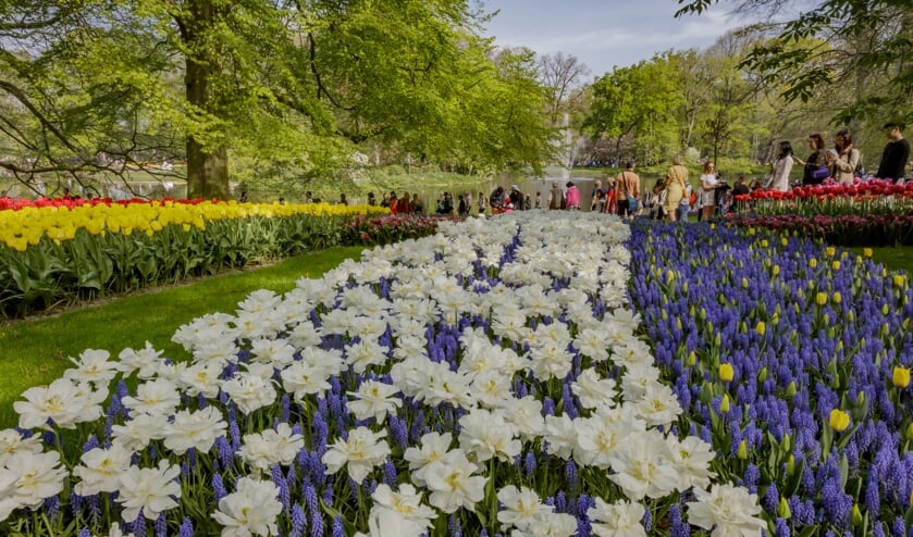 Over 2 maanden opent Keukenhof weer de deuren en wordt de regio overspoeld met bezoekers.