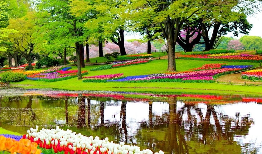 De Keukenhof.