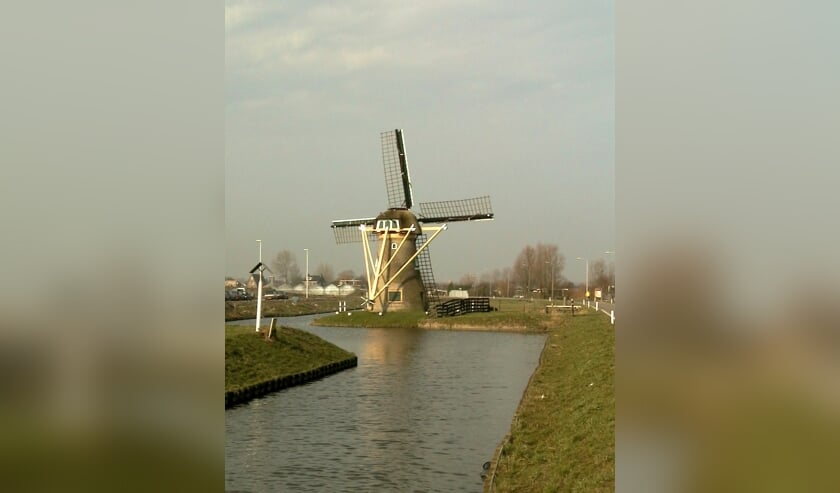 1999, toen de molen nog aan het eind van De Dijk in Rijnsburg stond.