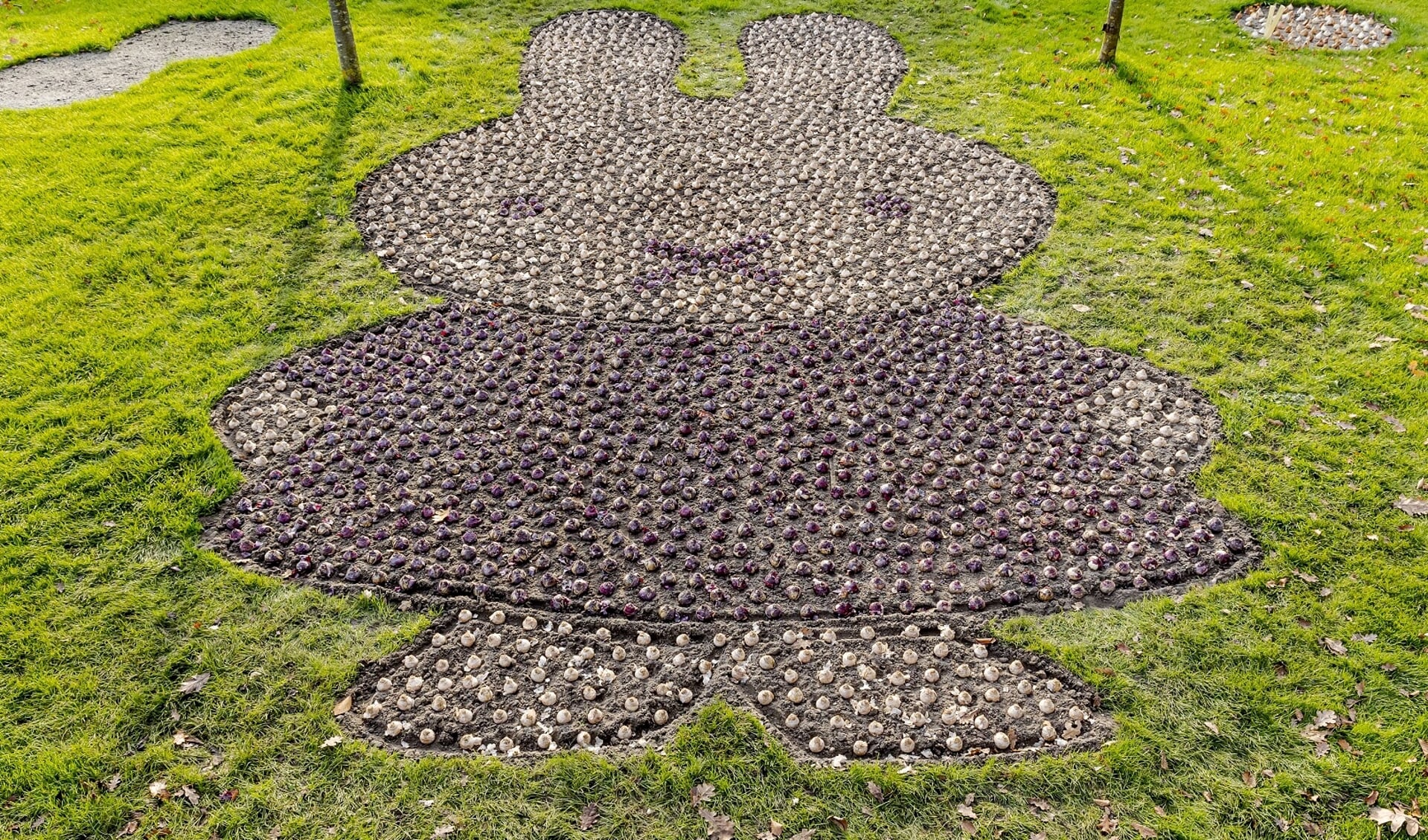 Het bloemenmozaïek in de vorm van nijntje bestaat uit ruim 2000 hyacinten. | Foto: Laurens Lindhout/Keukenhof 