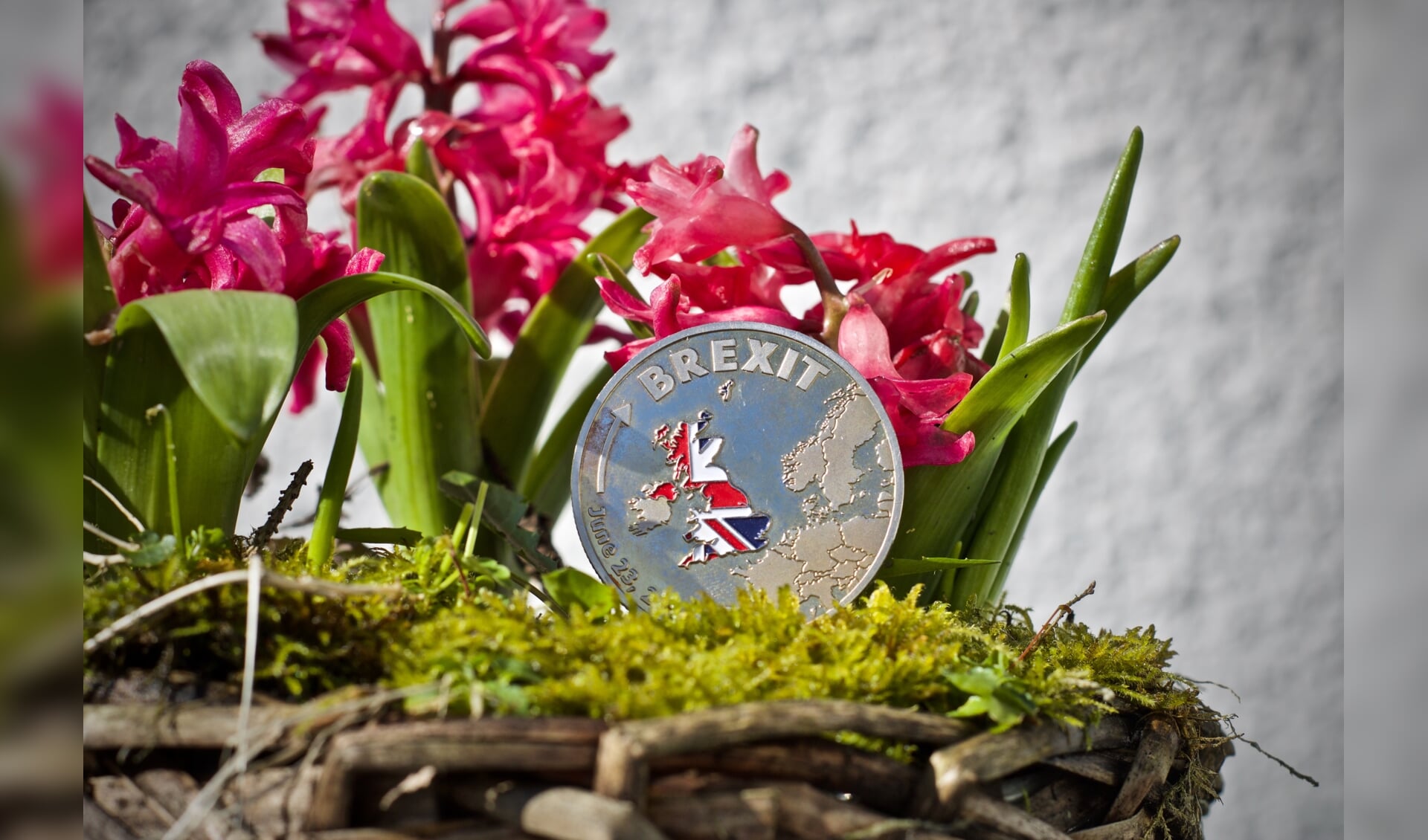 Physical metal brexit coin with a british flag on the front.