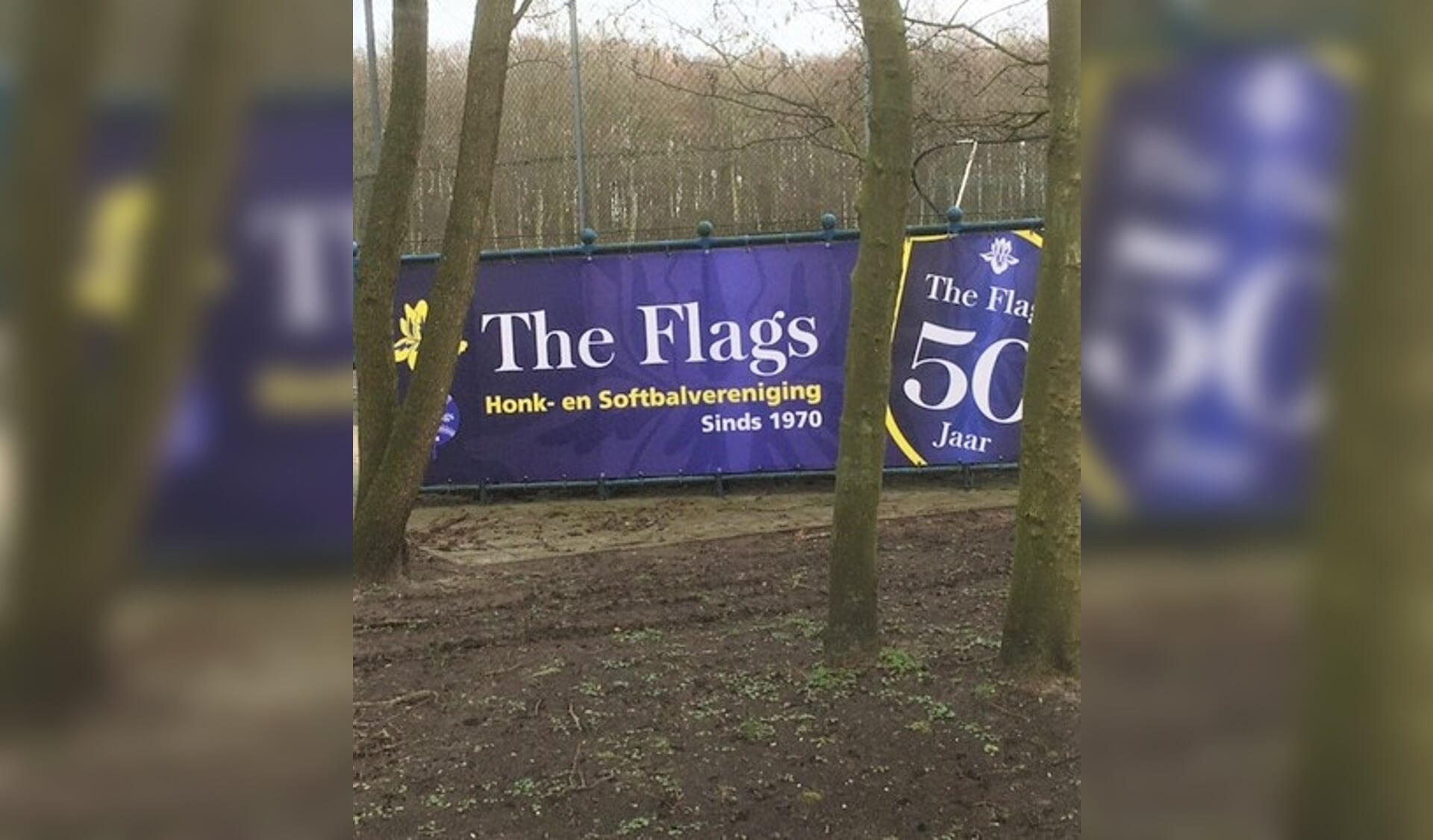 Dat The Flags 50 jaar bestaan willen zij weten. | Foto: Nico Assendelft