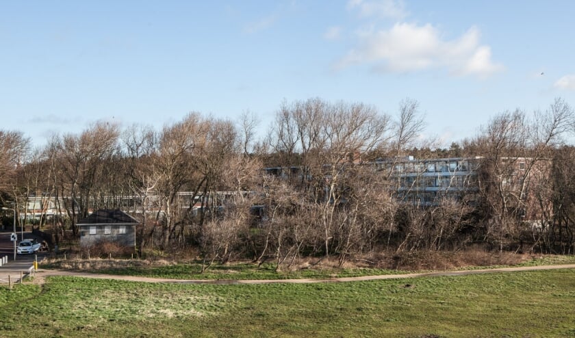 Foto: Adrie van Duijvenvoorde