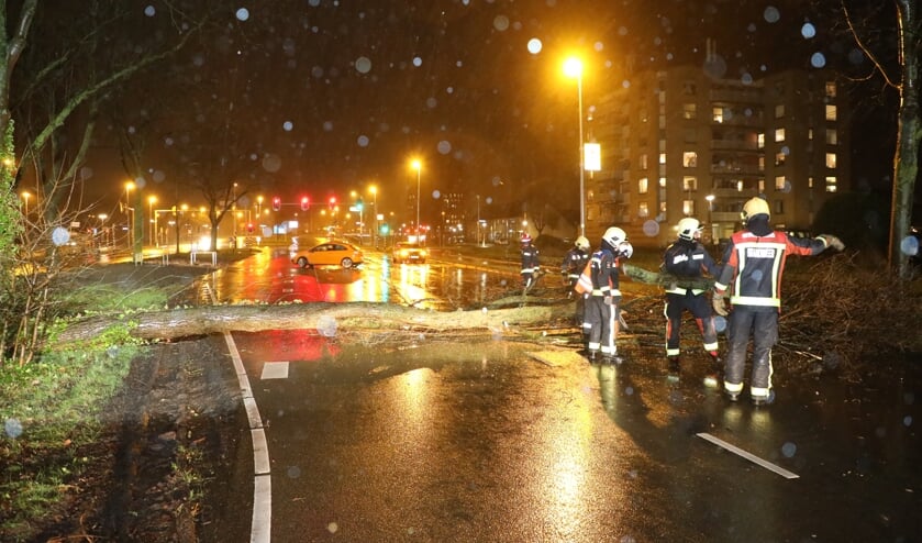 De omgezaagde boom ligt dwars over de weg.