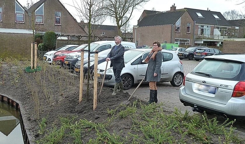 Kees van der Zwet en Arda Baak plantten de laatste boom, waarmee de groenrenovatie ten einde kwam.