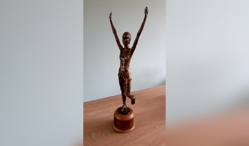 De trofee, gemaakt door Fons Versluys, gaat naar de winnaar van de Teylinger Sportprijs. Die winnaar wordt gekozen uit de winnaars van de vier categorieën.