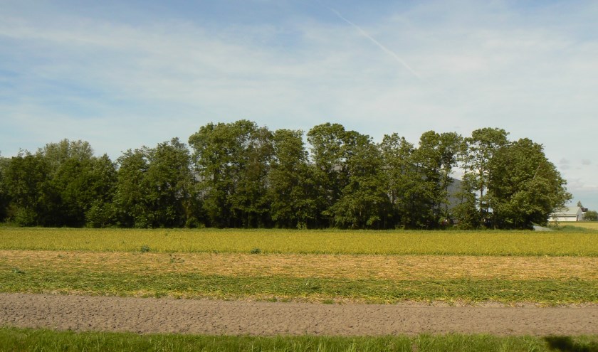 Voorbeeld van een 'groene' schuur. | Foto: pr