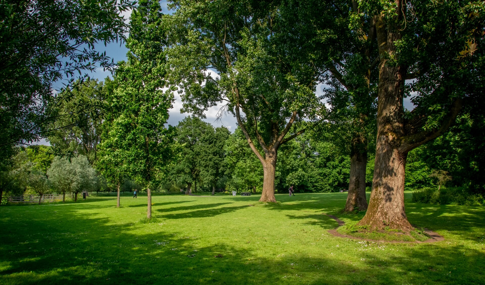 Leiderdorp heeft natuurlijk aardig wat bomen staan in parken De Houtkamp (foto) en De Bloemerd maar scoort wat aantallen bomen betreft toch matig. | Archieffoto: J.P. Kranenburg