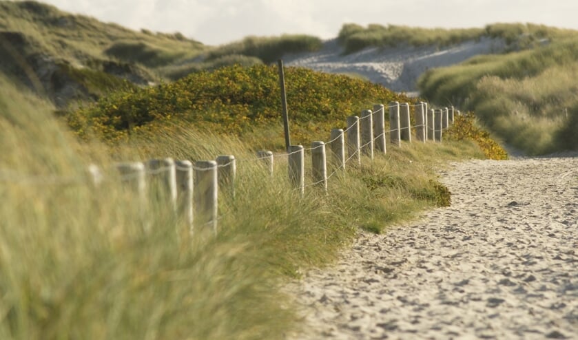 Heerlijk struinen door de duinen: de Amsterdamse waterleidingduinen zijn een prima plek om tot rust te komen. | Foto: pixabay