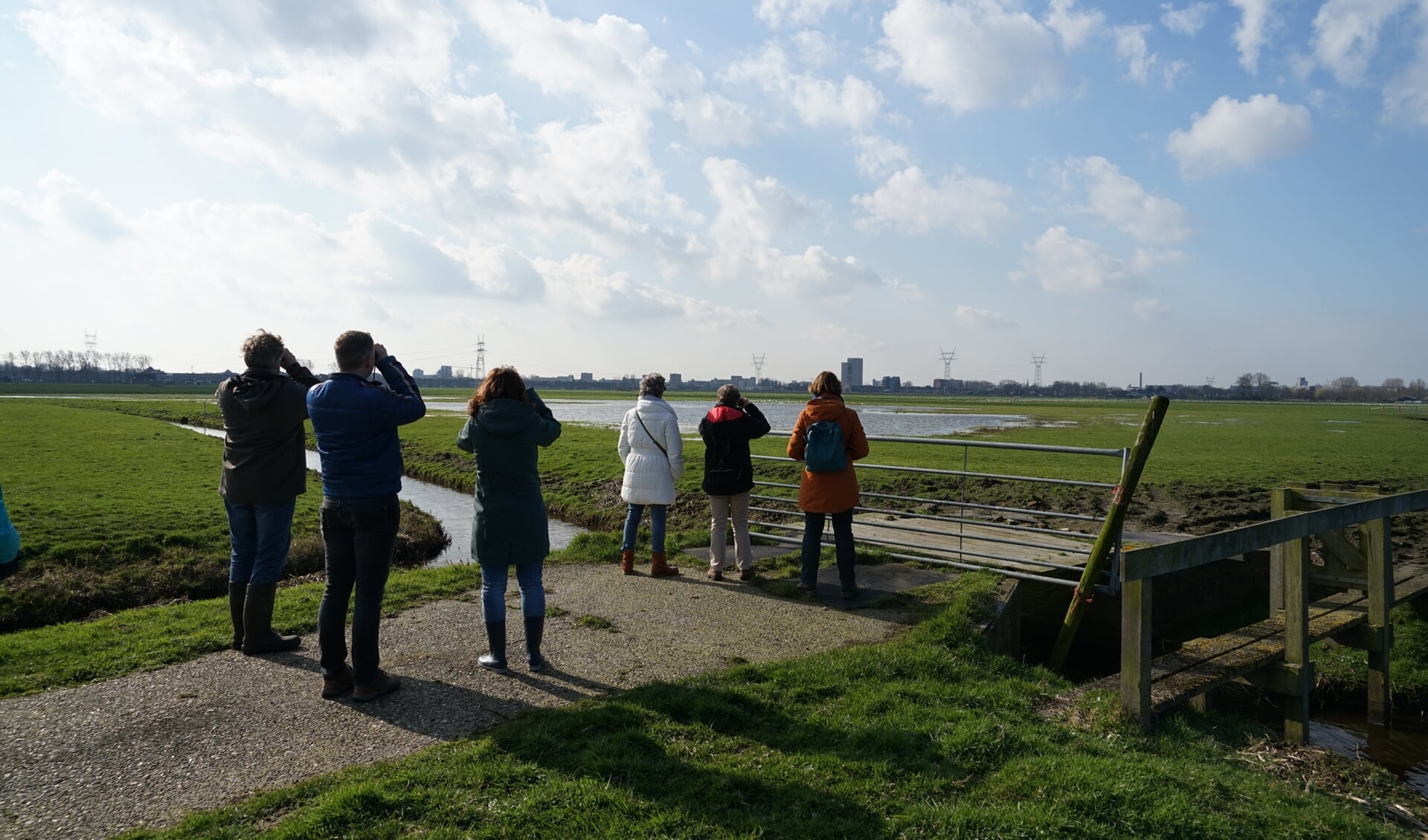 Weidevogels spotten in het Teylingse deel van de Boterhuispolder, met aan de horizon de skyline van Leiderdorp. | Foto: C. v.d. Laan