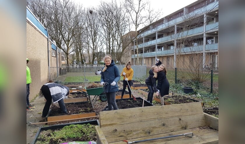 Leerlingen van Visser ’t Hooft Lyceum hebben de moestuintjes weer gebruiksklaar gemaakt. | Foto: pr