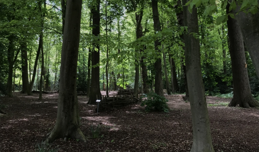 Het Overbosch ging van een moddergebied naar groene oase. | Foto: pr.