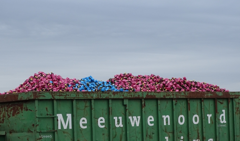 Ondernemers in de sierteeltsector hebben het momenteel erg moeilijk, nu de boel stil is komen te liggen. | Foto: pr