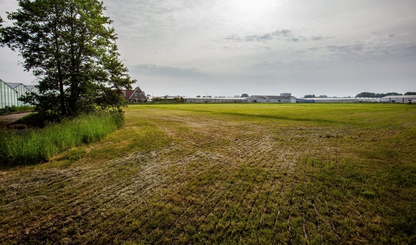 | Foto: Adrie van Duijvenvoorde