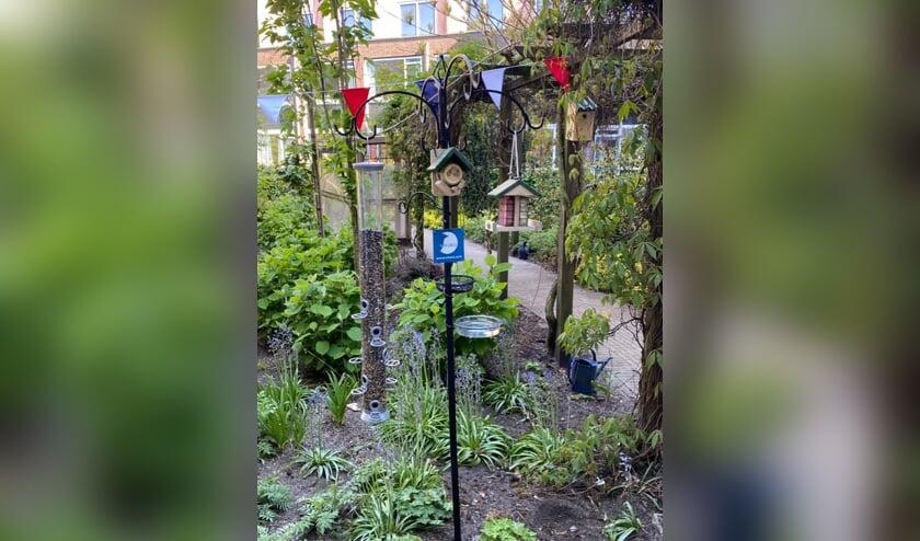 De vogelvoederplekken werden met allerhande materialen gerealiseerd en bieden zo hopelijk veel vogels vertier. En daarmee bewoners van een verpleeghuis een mooi uitzicht.