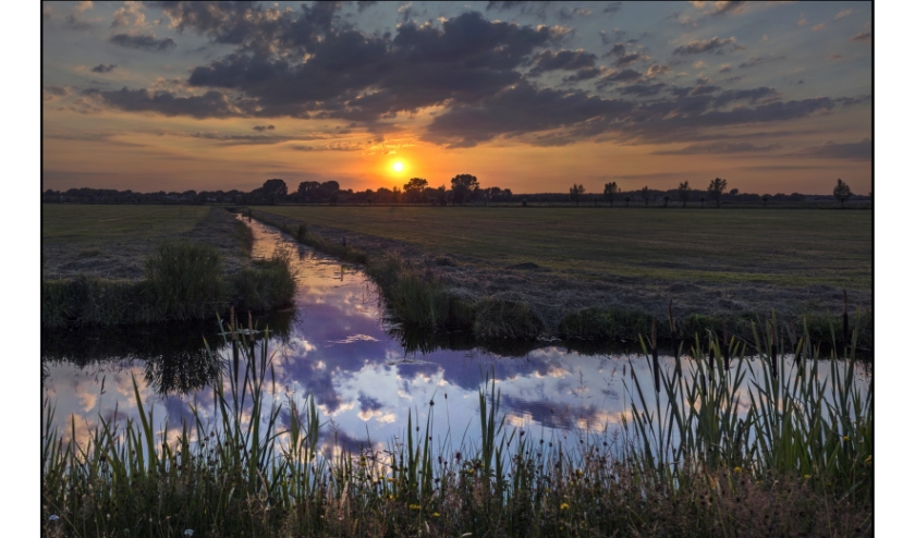 De Boterhuispolder met de Nieuweweg op de achtergrond.