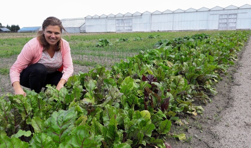 Marjolijn Balk op het land aan de Leidsevaart, waar een deel van de groente groeit. | Foto: MV