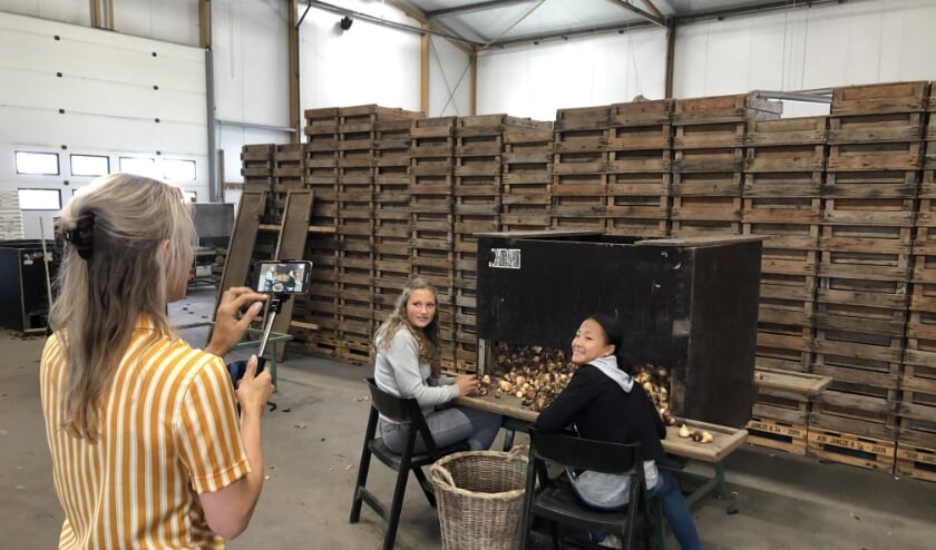 Vloggen over een bijbaan in de bloemen.
