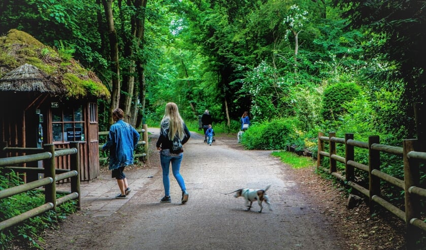 <p>De entree naar het Panbos. | Foto: Adrie van Duijvenvoorde</p>