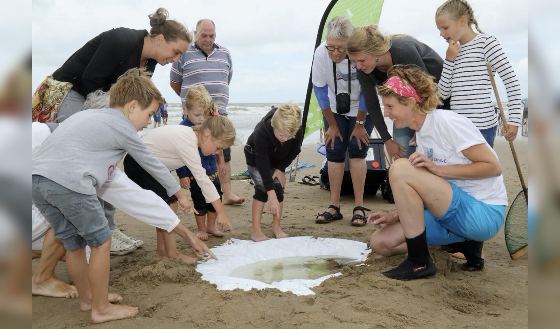 Onder leiding van een IVN-gids maak je tijdens een excursie kennis met alles dat het strand te bieden heeft.