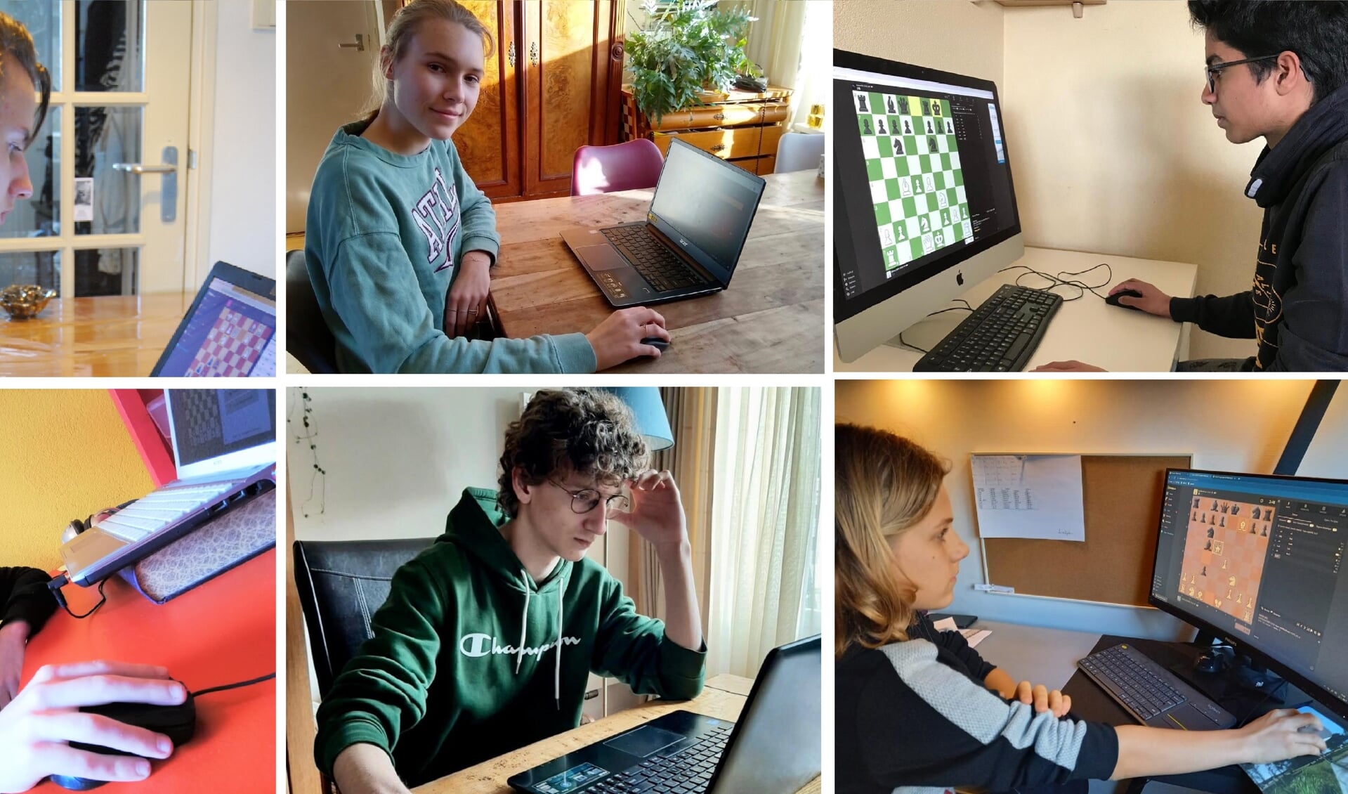 Een aantal van de schakers van het Stedelijk Gymnasium online aan het schaken. | Foto: PR