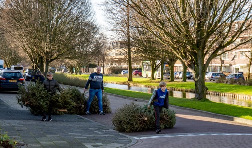 <p>Ook vorig jaar werden heel veel bomen naar de inzamelpunten versleept en geruild tegen een munt van 50 cent per boom.</p>