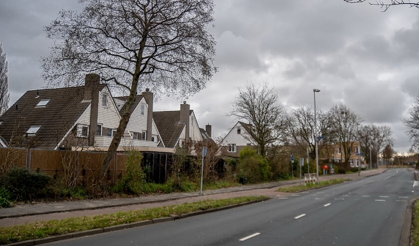 <p>De Simon Smitweg met links de wijk Holtlant. </p>
