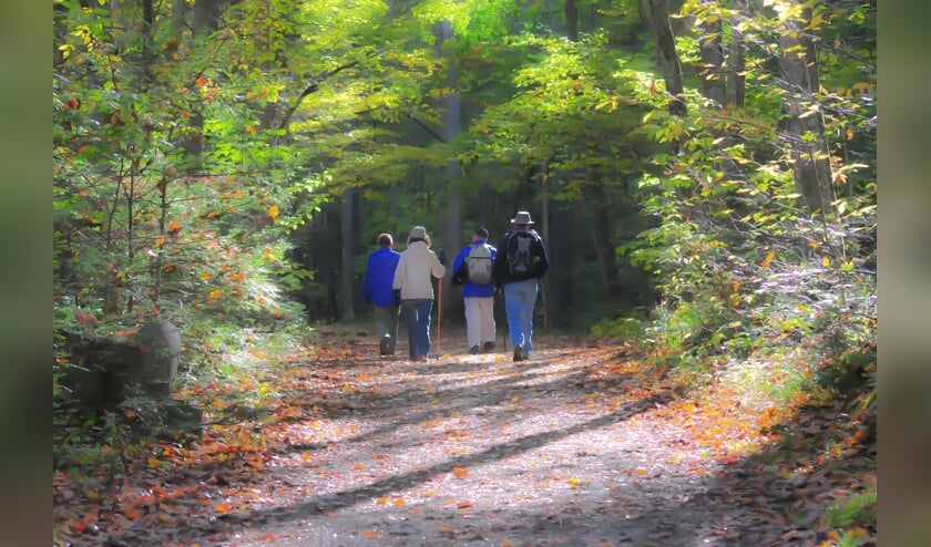 Meneer had behoefte aan een wandelmaatje en die werd gevonden. (foto ter illustratie)