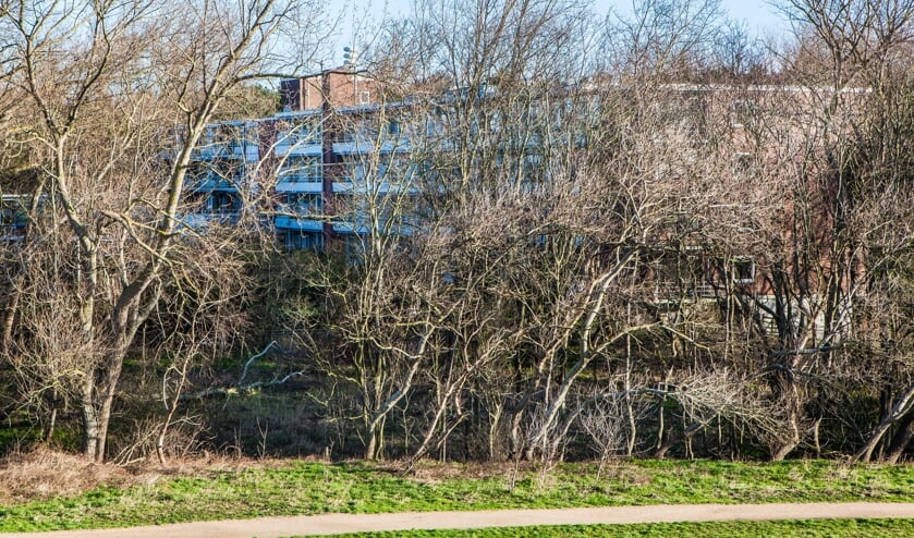 <p>Het voormalige zorgcomplex Salem aan de rand van de Katwijkse zuidduinen. | Foto: archief/Adrie van Duijvenvoorde</p>