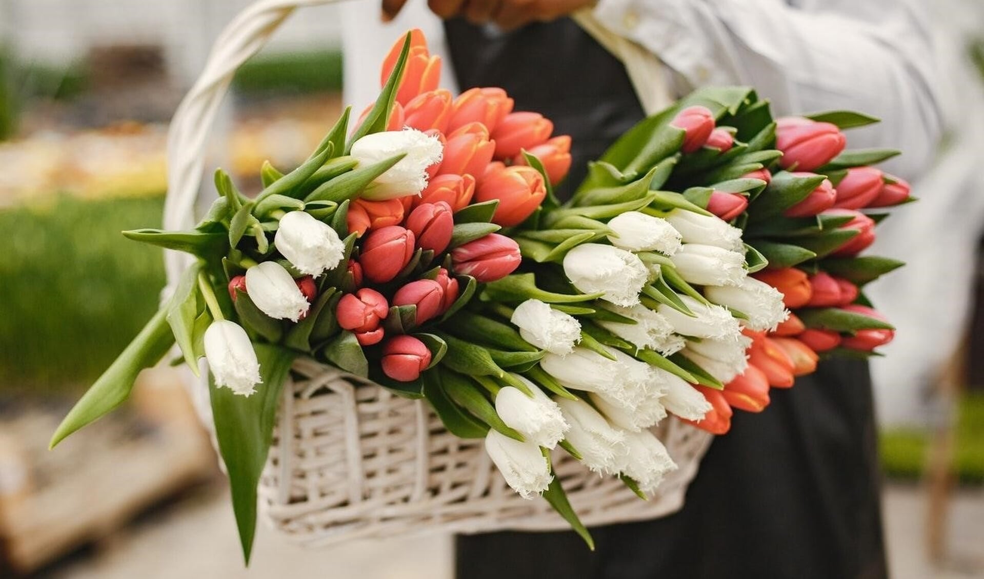 Waar moet je op letten bij het kopen van een duurzaam boeket bloemen.