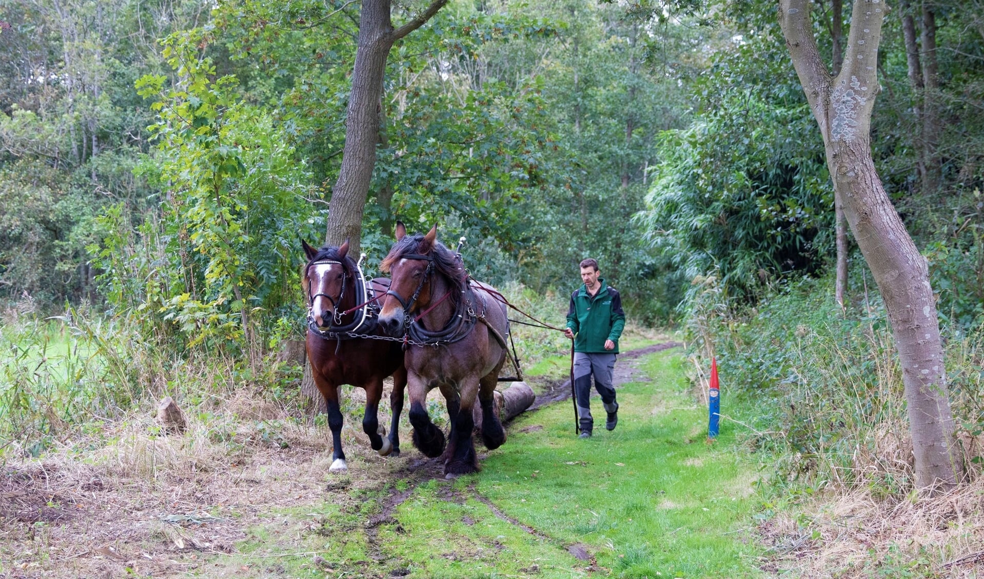 In oktober 2021 haalden trekpaarden boomstammen (essen) uit het water bij Landgoed Keukenhof, waarvan een deel naar Bollenstreekhout ging. Bij de restauratie van het Washuis wordt gewerkt met essenhout afkomstig van het landgoed. 