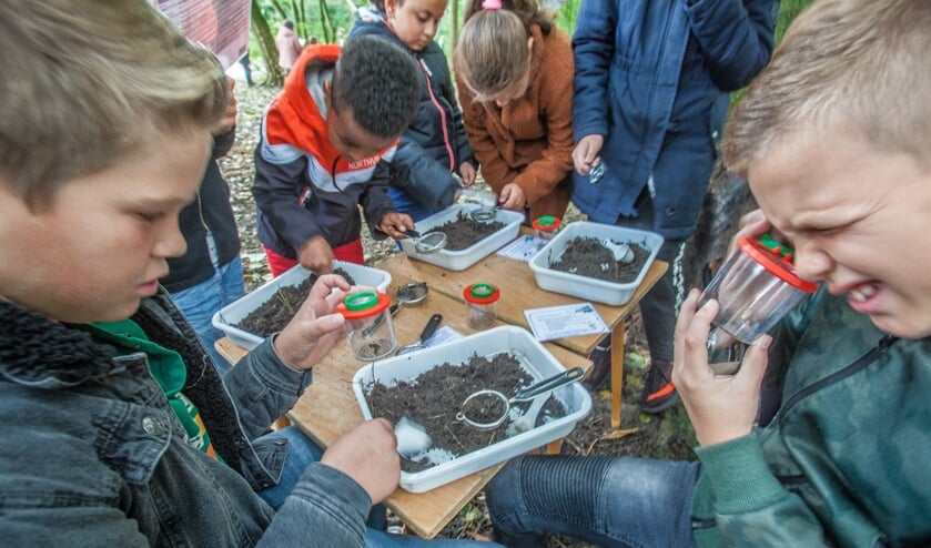 Leerlingen van de Prins Willem Alexanderschool onderzoeken natuur vlak om de hoek in de groenstrook langs het Uitwateringskanaal. | Foto: Adrie van Duijvenvoorde