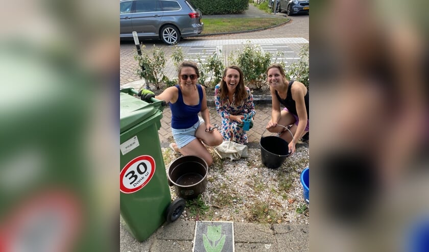 <p>Buren Floor, Kim en Ilona houden samen het adoptiegroen bij. | Foto: pr.</p>