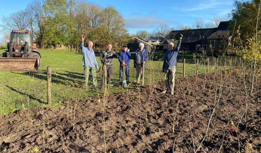 <p>Vrijwilligers van Meer Bomen Nu planten de eerste boompjes bij Hoeve Dijkzicht aan de Achthovenerweg.</p>