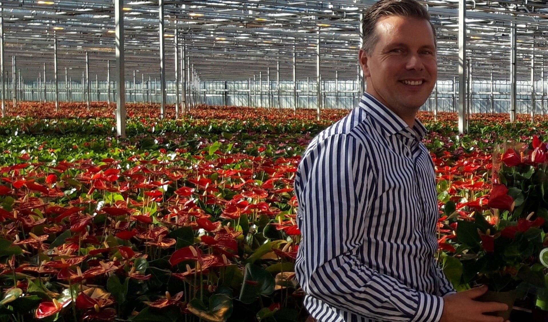 Mark Zijlstra, Royal Flora Holland Productmanager. 