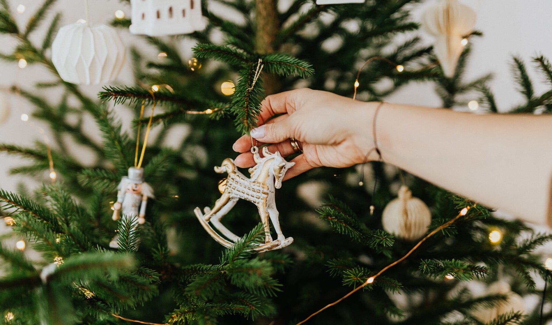 De kerstboom die zo mooi in de kamer staat te pronken is een spar, geen dennenboom. | Foto:  Karolina Grabowska via Pexels 