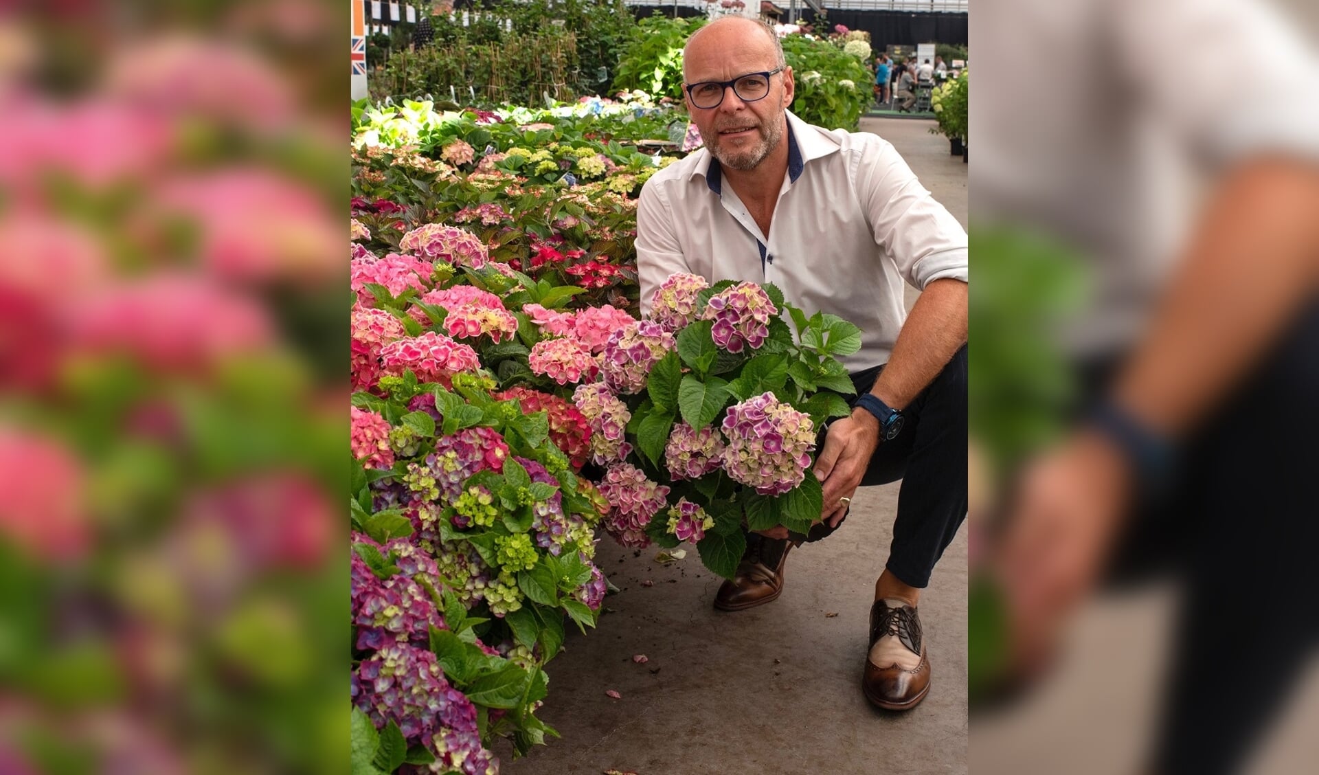 Michel Verbeek, Royal FloraHolland productmanager 