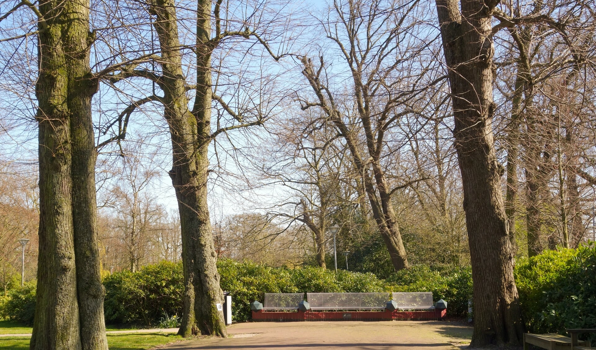 De hoofdentree van Park Rusthoff aan de Hoofdstraat met de zogenaamde rode loper. | Foto: pr.