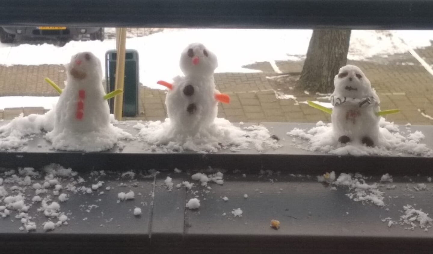 De Braziliaanse vriendin van Dolf Wildschut had nooit eerder sneeuw gezien, en wilde voor het eerst een sneeuwpop maken. "Dit is het resultaat van haar werk en omdat het nog even wennen was in de kou maakte ze de sneeuwpoppen op ons balkon, dat nog dichtbij de warmte was."