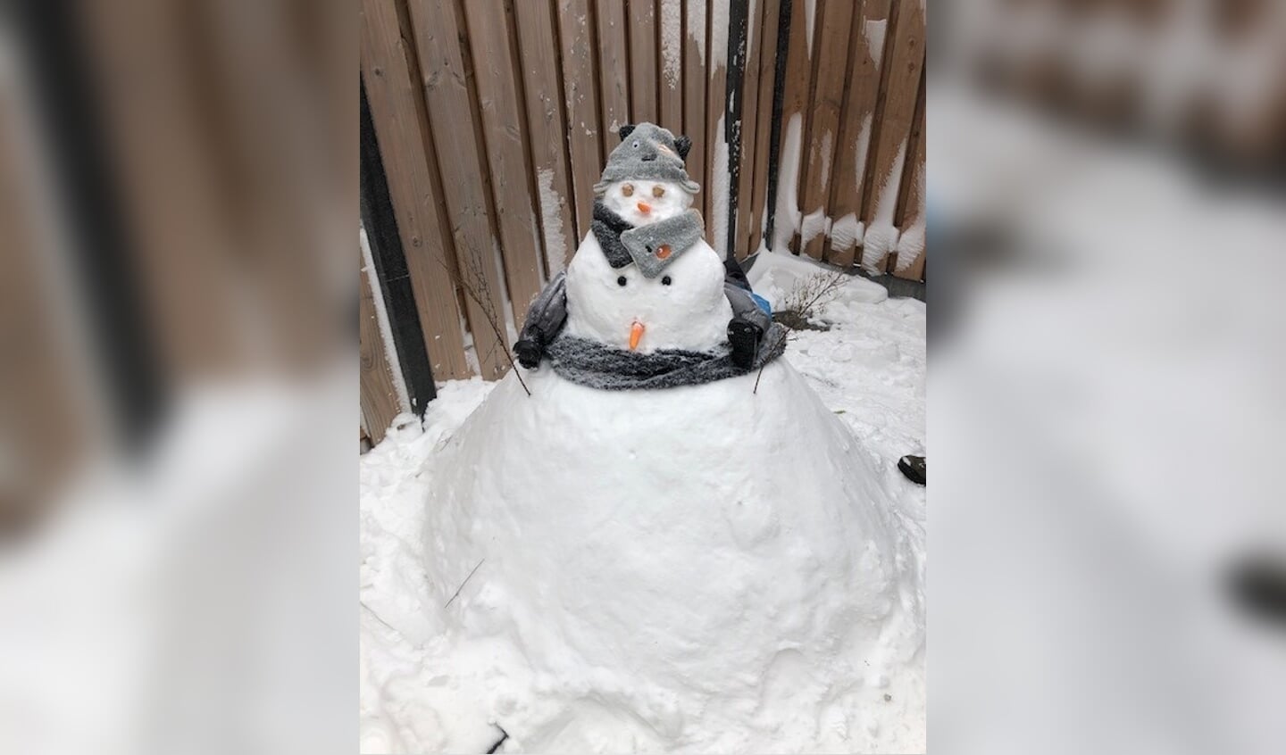 Ouders Robin en Mariëlle uit Voorhout verrasten hun zoontje met een sneeuwpop. "Sneeuwpop met twee gezichten en met wat fantasie, herken je in sneeuwpop een ouder met kindje op de nek."