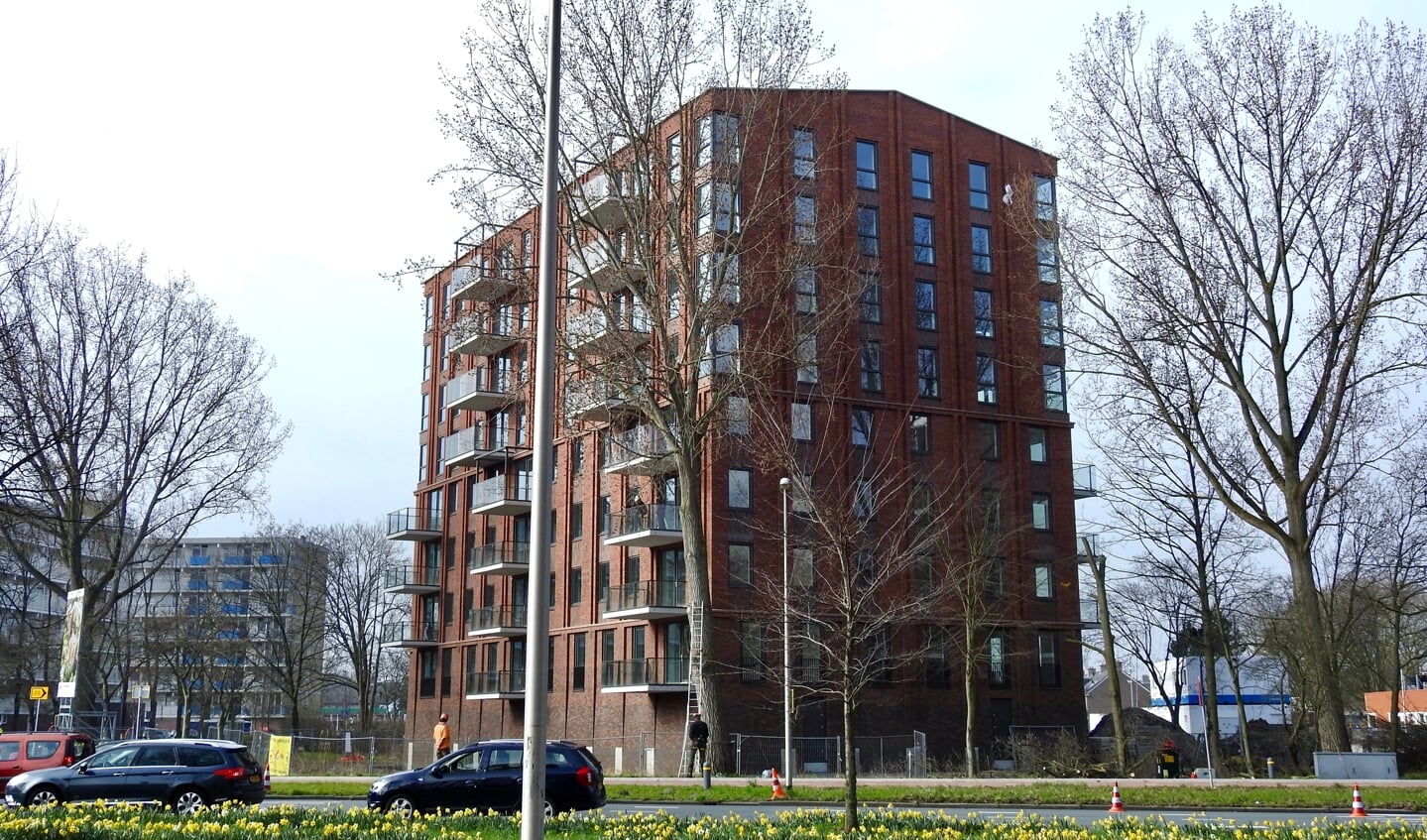 Drie bomen stonden te dicht bij de gevel van de nieuwe appartementengebouwen