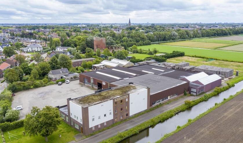 Het Westerbeekterrein, met daarachter de Ruïne van Teylingen.