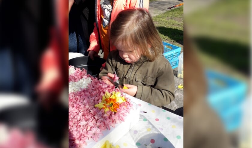Mirthe in opperste concentratie bij het knippen van een hyacintenbloem.