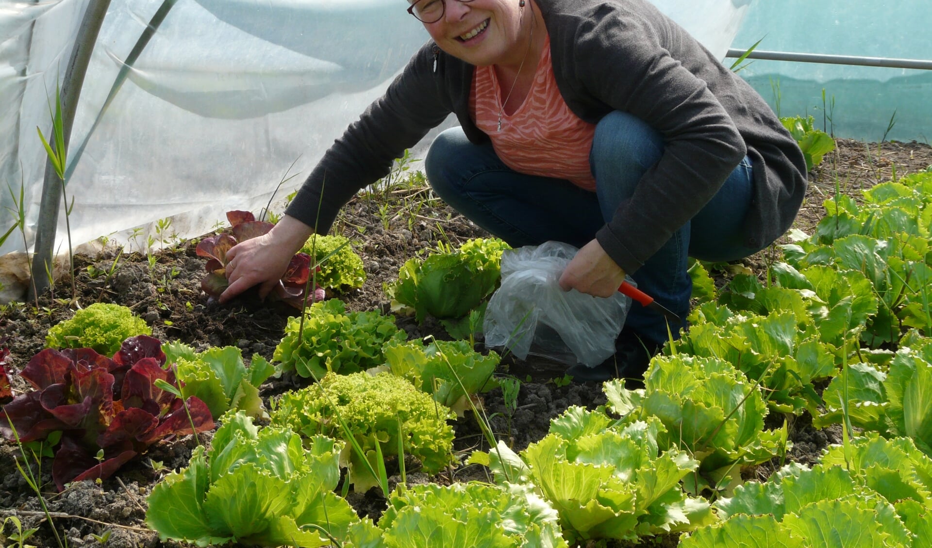 Simone met de eerste oogst op de nieuwe locatie. | Foto: pr.