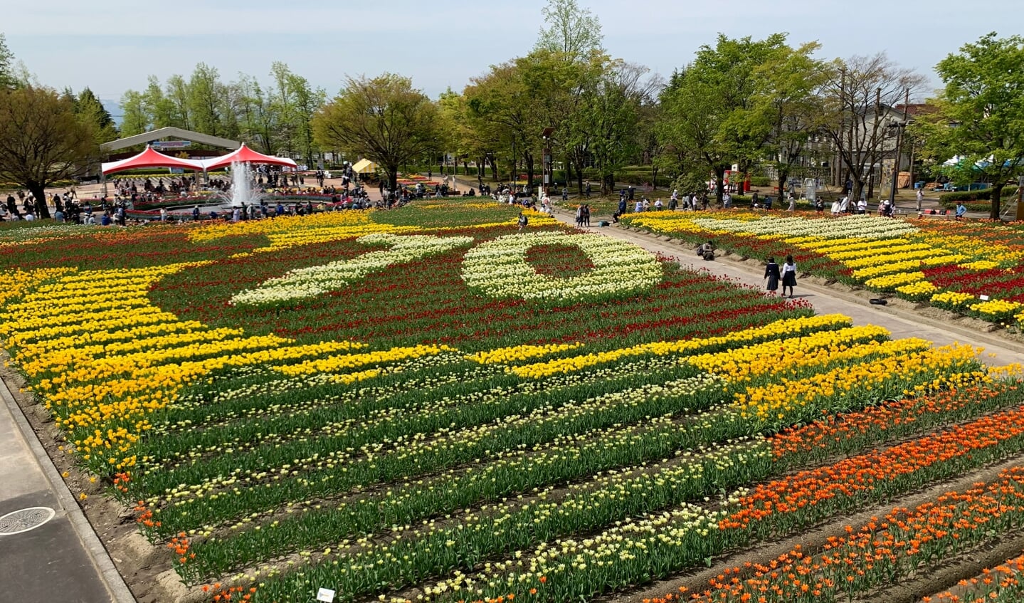 Het Tulpen Festival in Japan beleefde de 70e editie. 